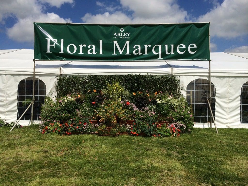 melody corporation festival marquee 6